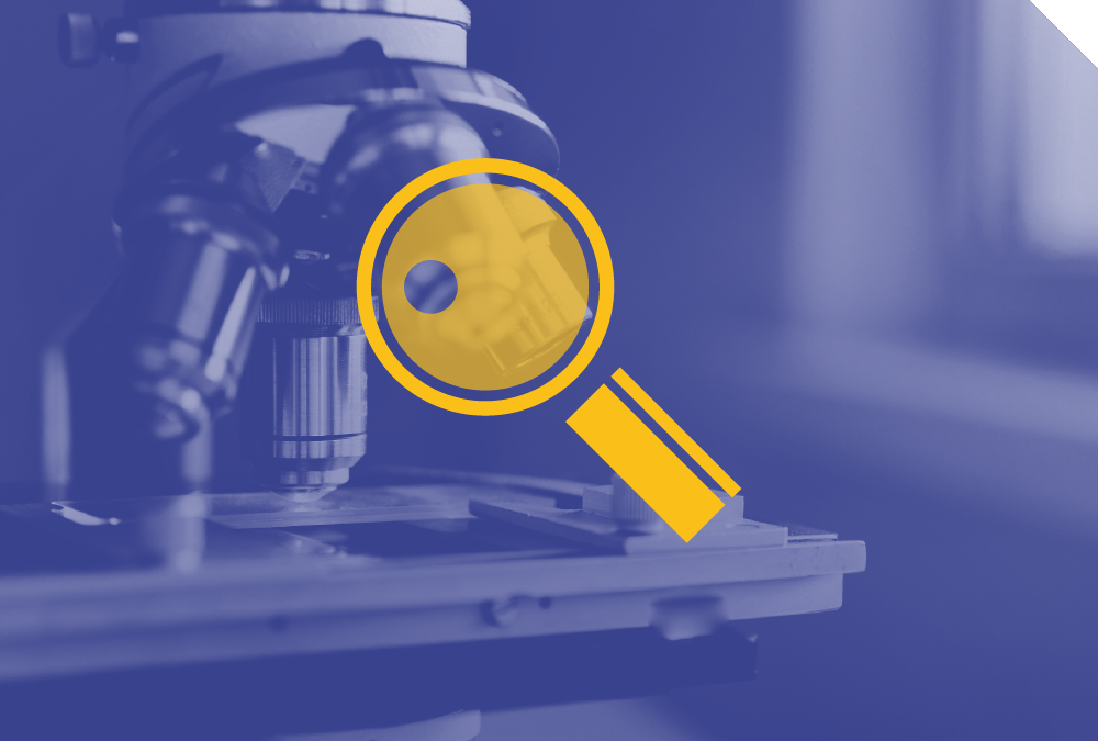 NIS2 – Introduzione alla funzione DETECT